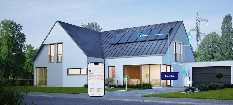 高端网页设计,深圳专业网页设计公司,网页设计